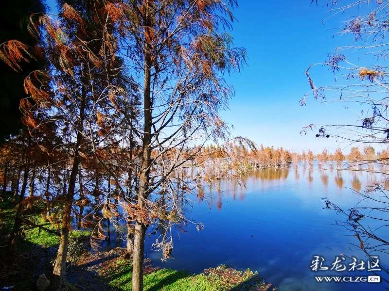 沙漠地下全是石油，怎么我国不开采？游戏画面