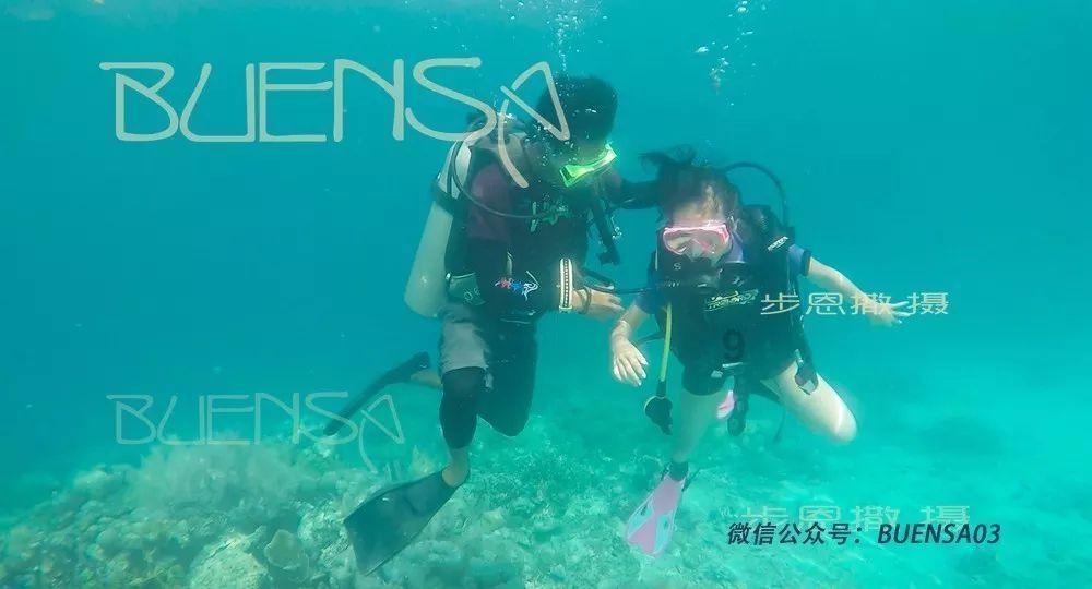 新超西游记