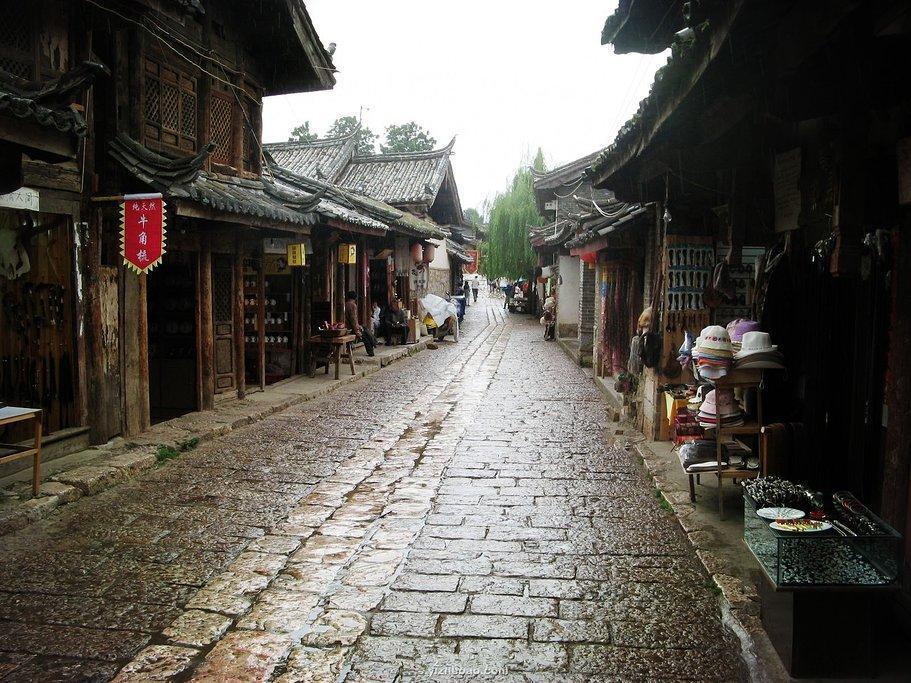 急速变色龙